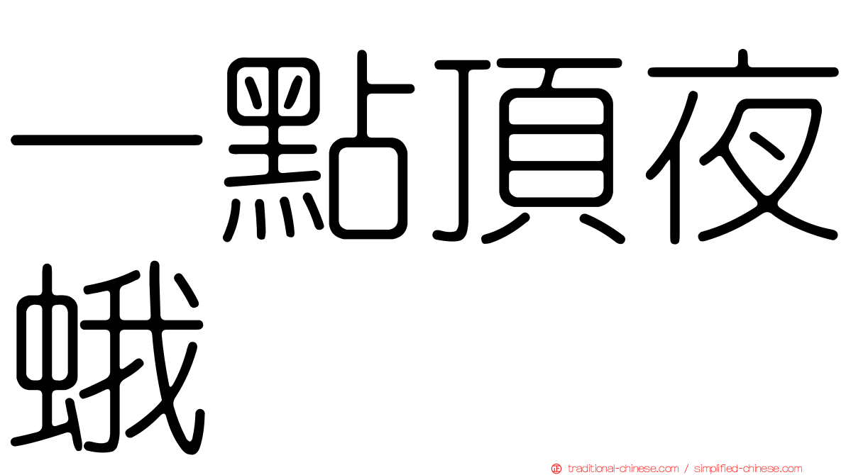 一點頂夜蛾