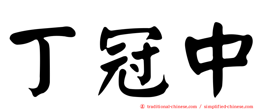 丁冠中