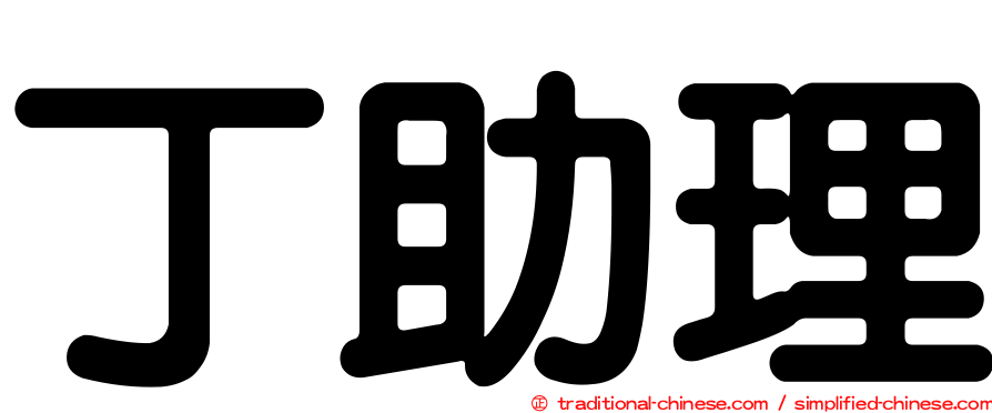 丁助理