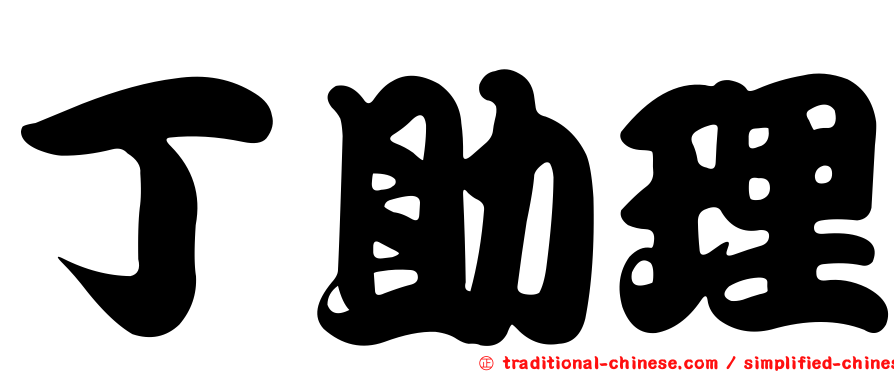 丁助理