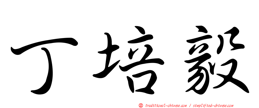 丁培毅