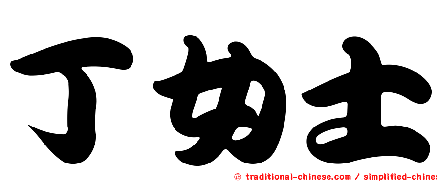 丁女士