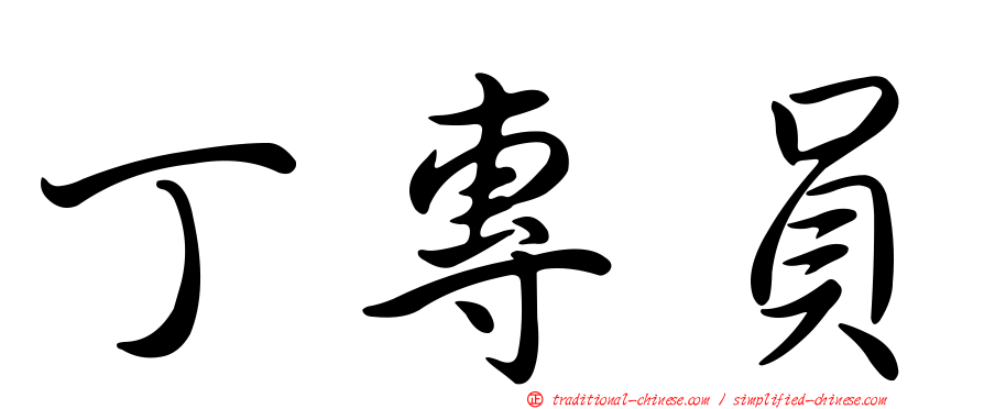 丁專員