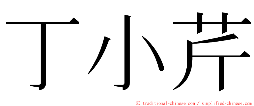 丁小芹 ming font