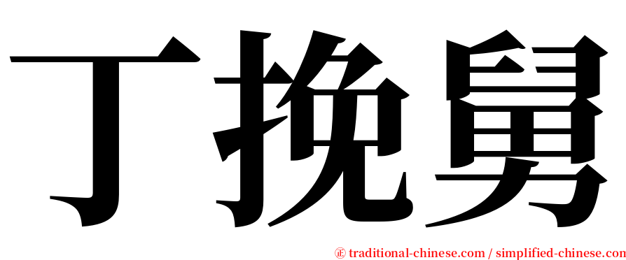 丁挽舅 serif font