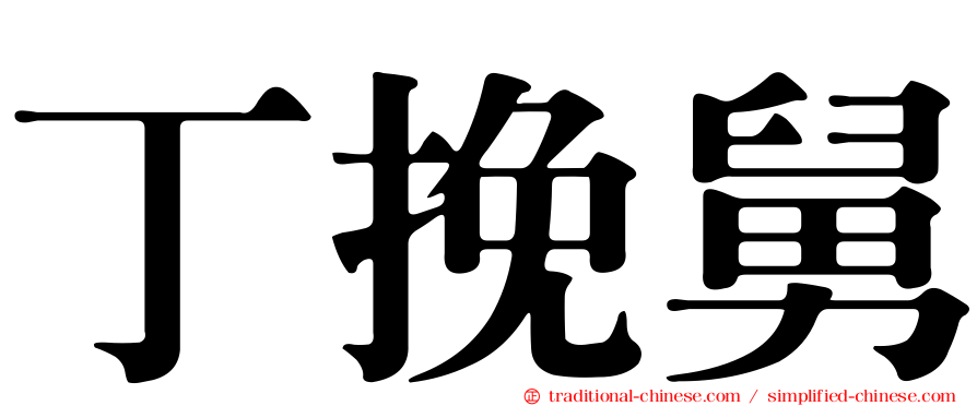 丁挽舅