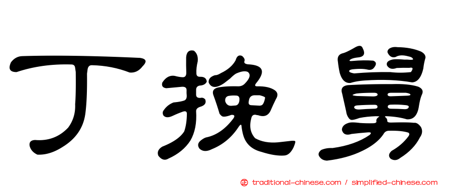 丁挽舅