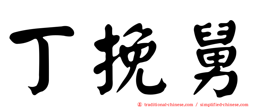 丁挽舅