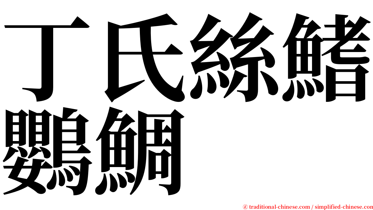 丁氏絲鰭鸚鯛 serif font
