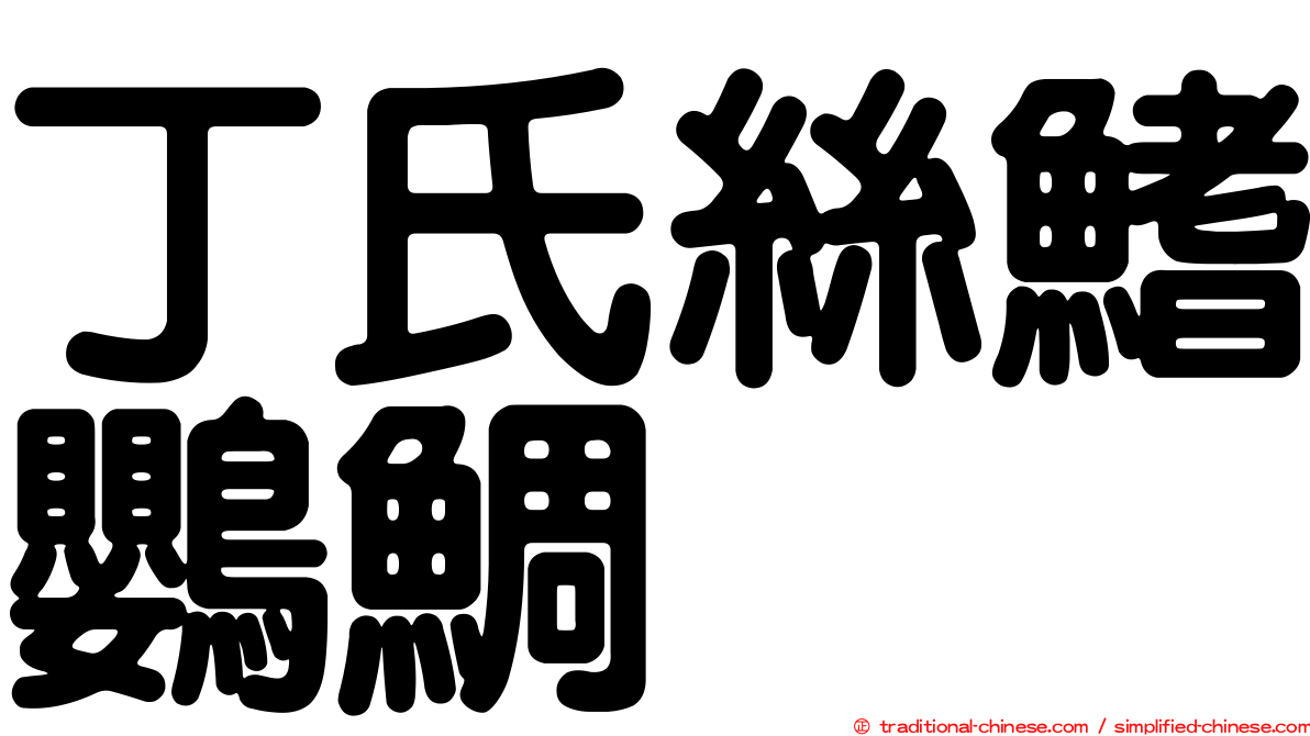 丁氏絲鰭鸚鯛