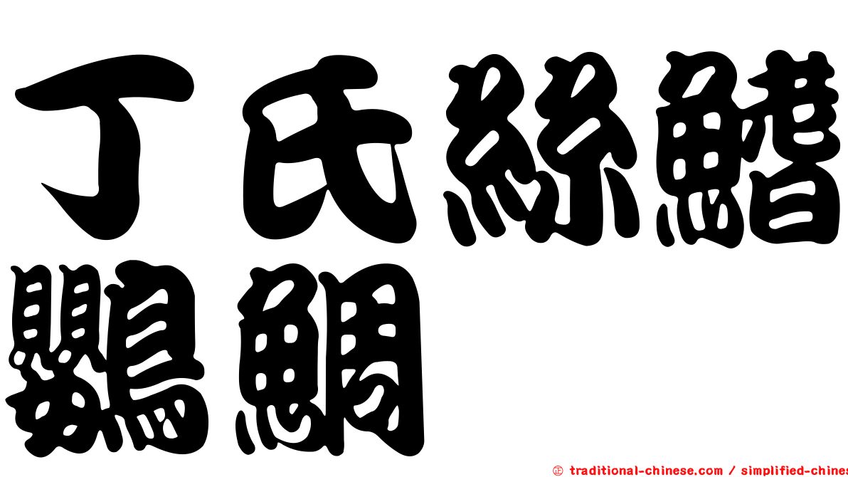 丁氏絲鰭鸚鯛