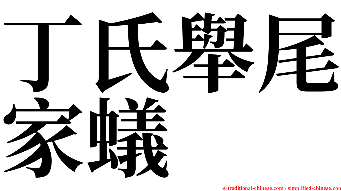 丁氏舉尾家蟻 serif font
