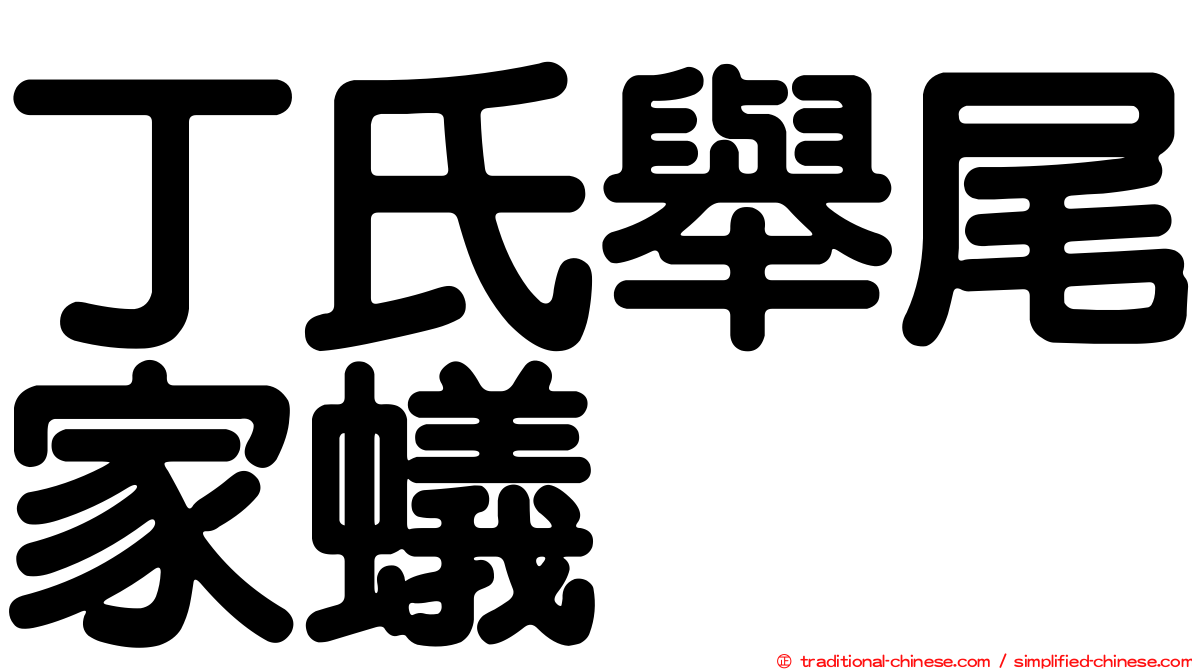 丁氏舉尾家蟻