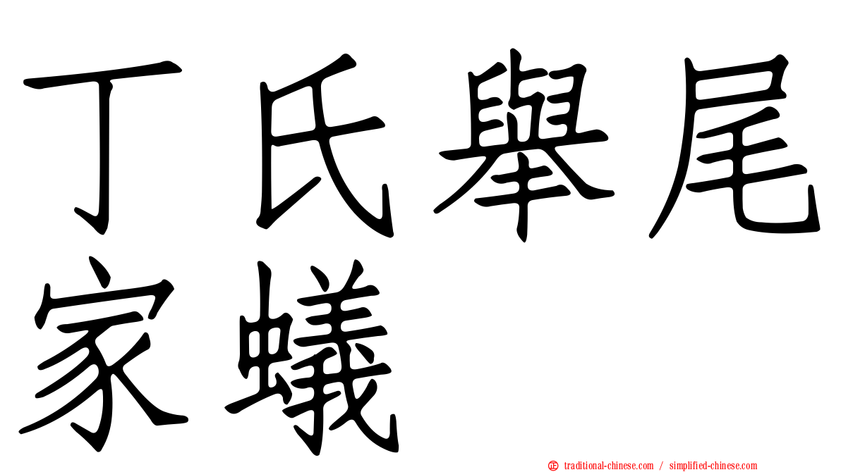 丁氏舉尾家蟻