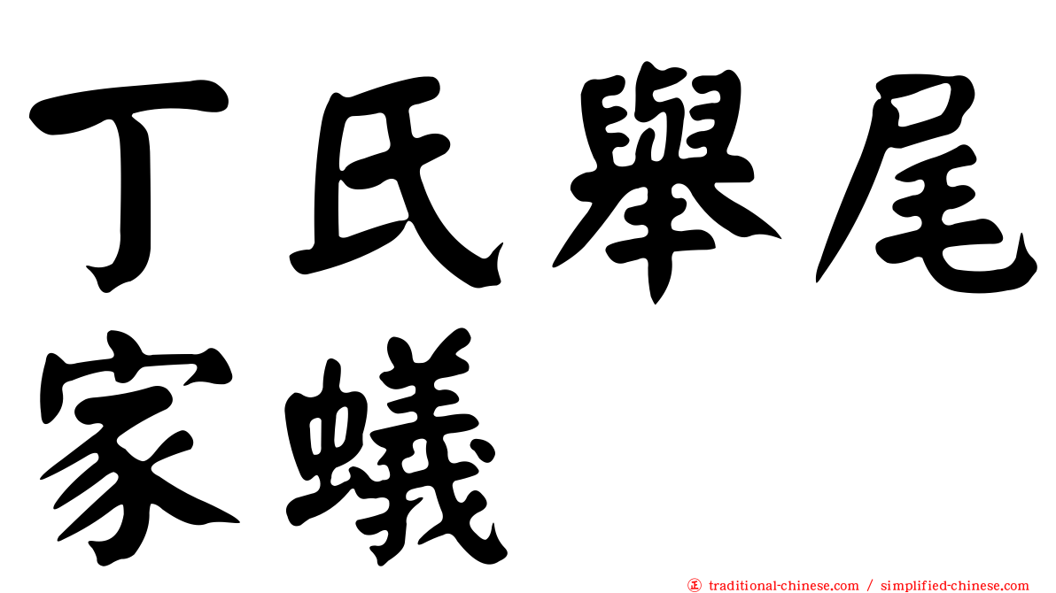 丁氏舉尾家蟻