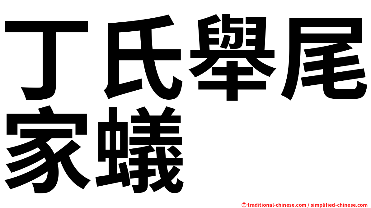 丁氏舉尾家蟻