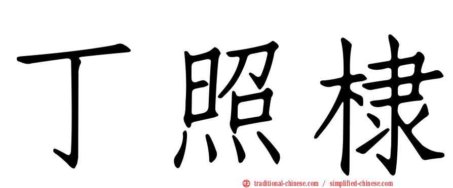 丁照棣