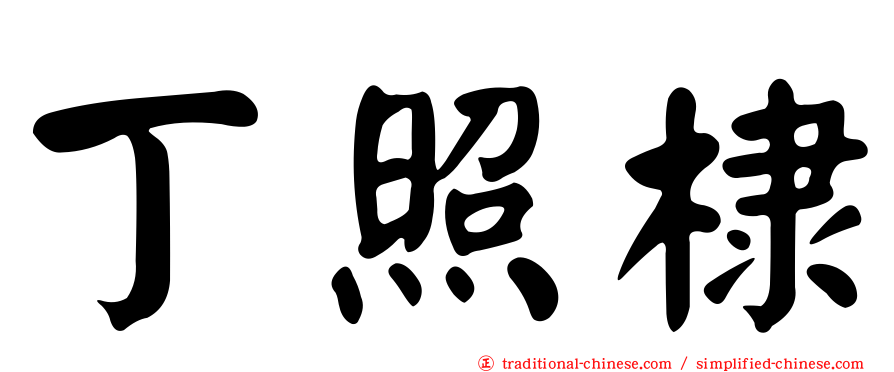 丁照棣