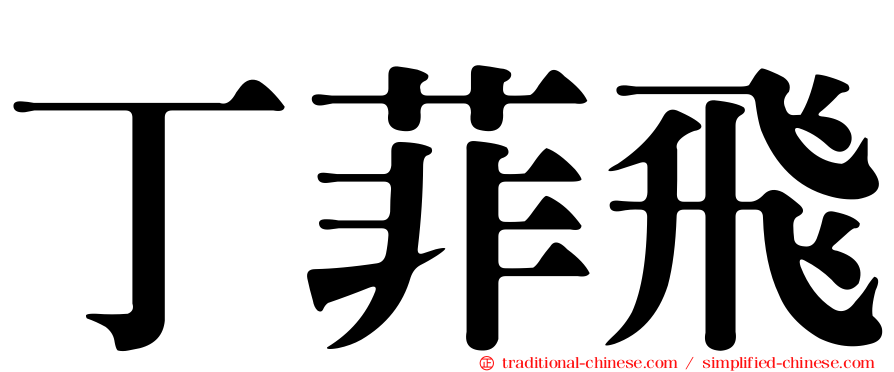 丁菲飛