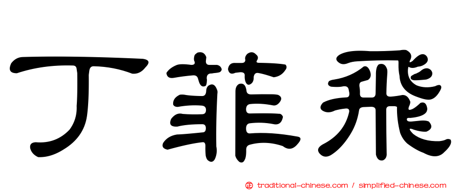 丁菲飛