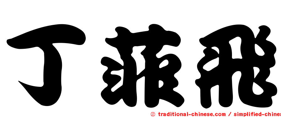 丁菲飛