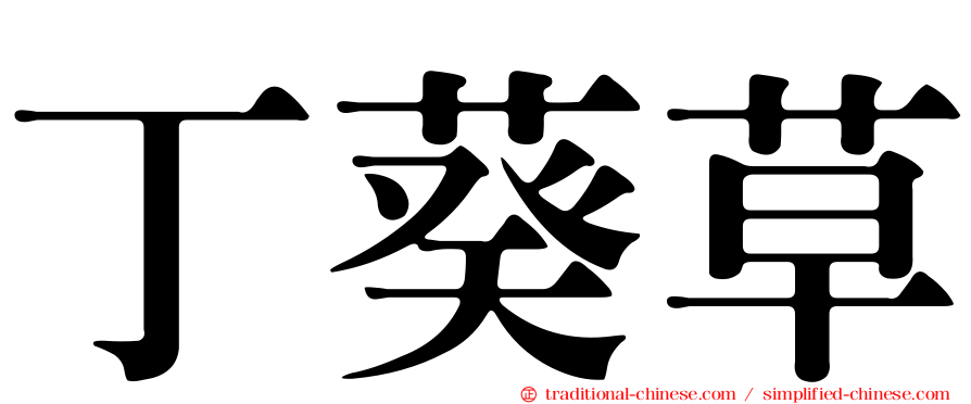 丁葵草