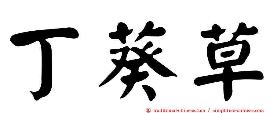 丁葵草