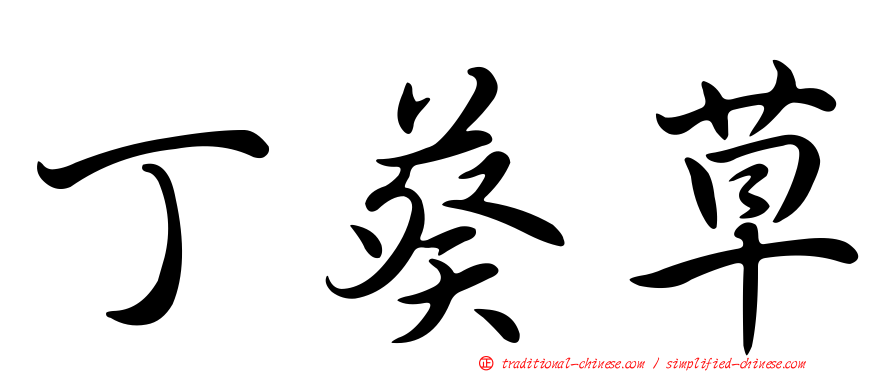 丁葵草