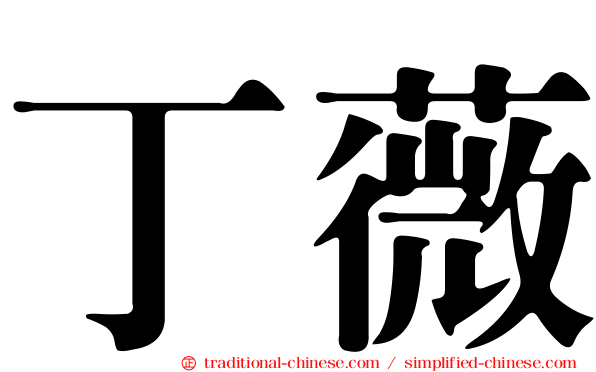 丁薇