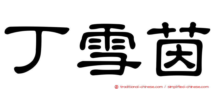 丁雪茵