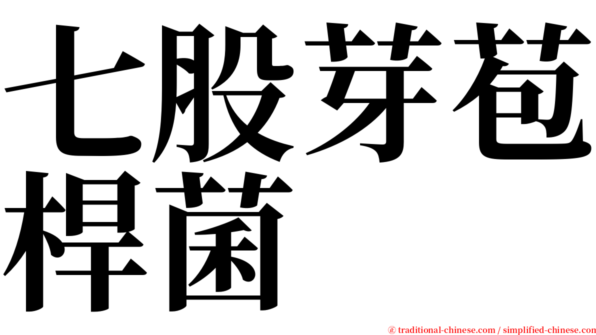 七股芽苞桿菌 serif font