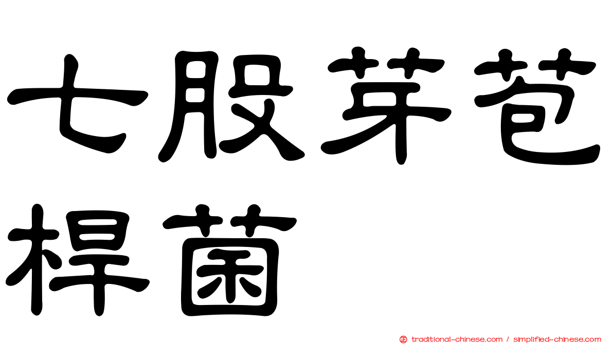 七股芽苞桿菌