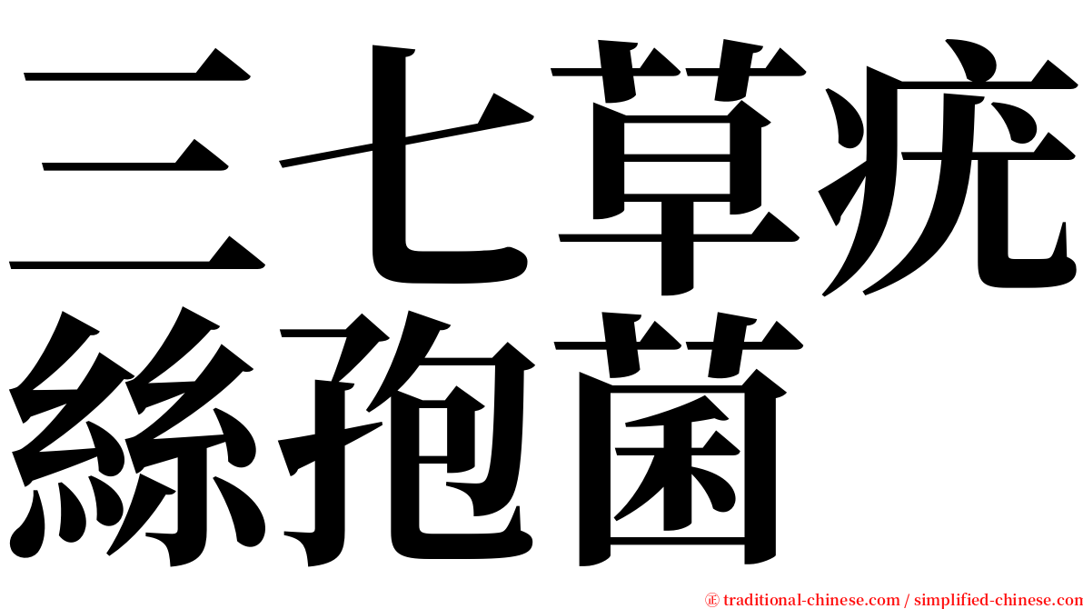 三七草疣絲孢菌 serif font