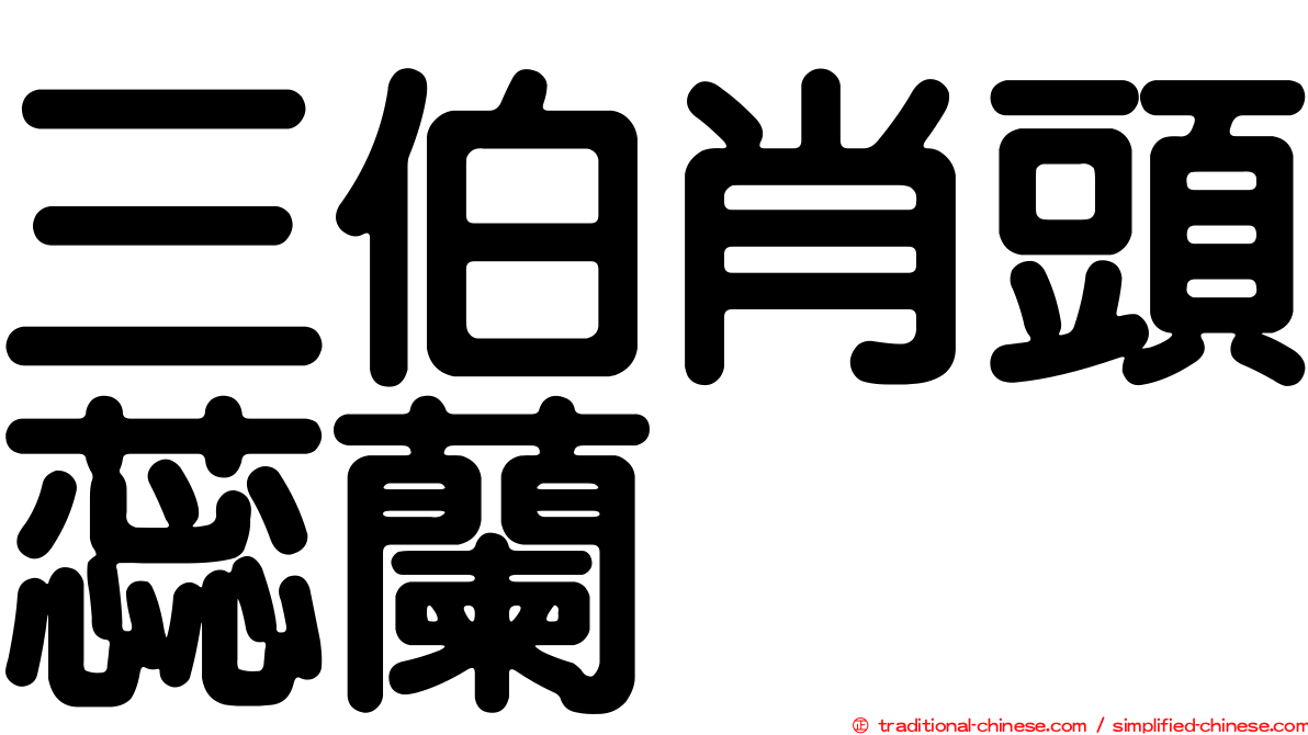三伯肖頭蕊蘭