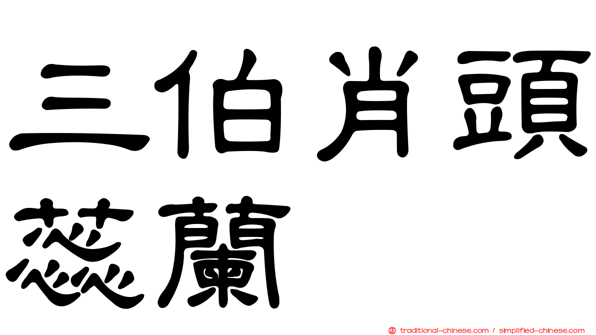 三伯肖頭蕊蘭