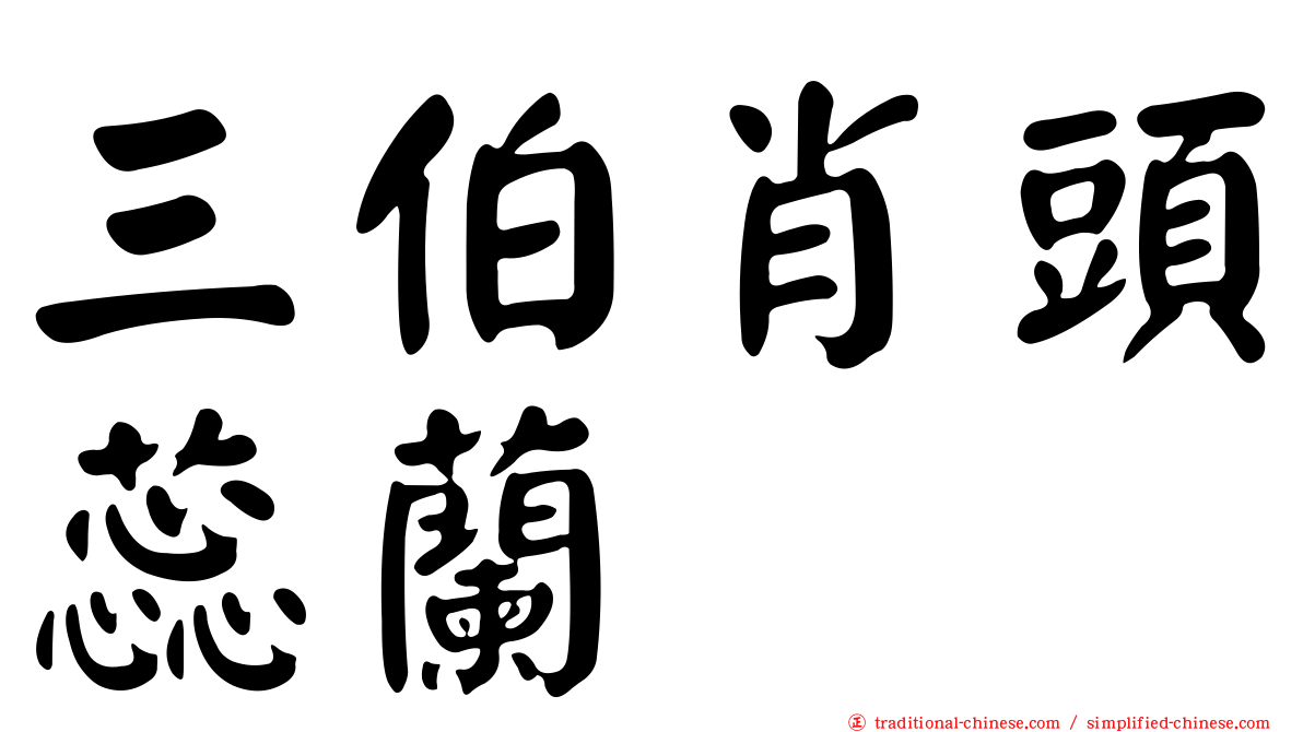 三伯肖頭蕊蘭