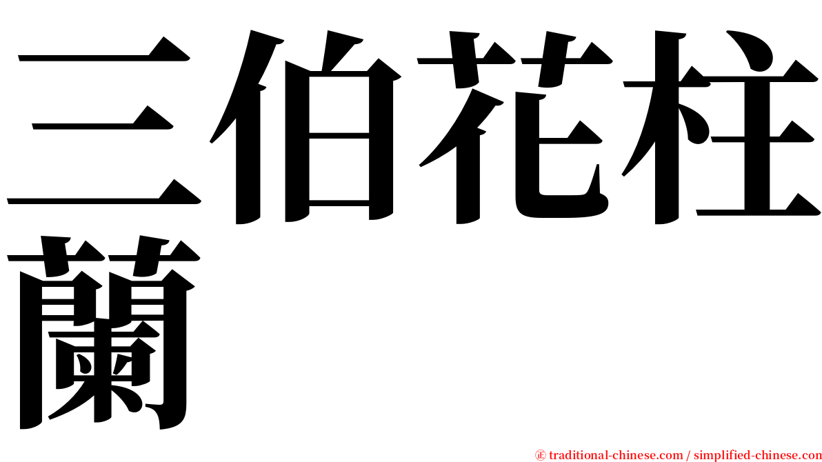 三伯花柱蘭 serif font