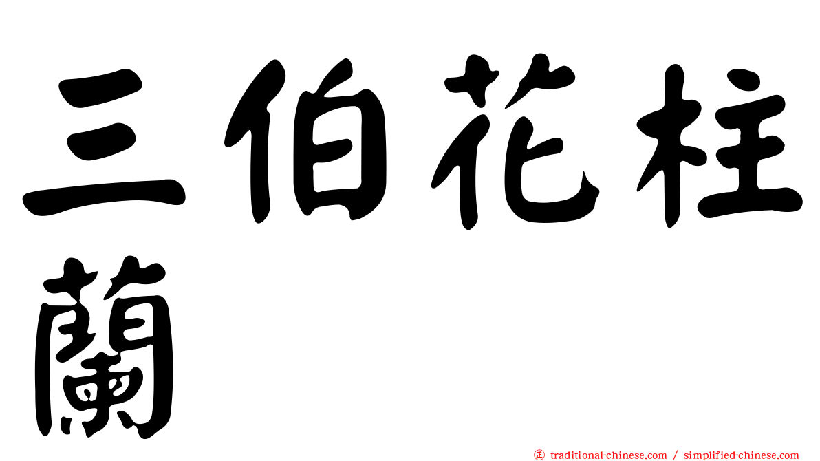 三伯花柱蘭