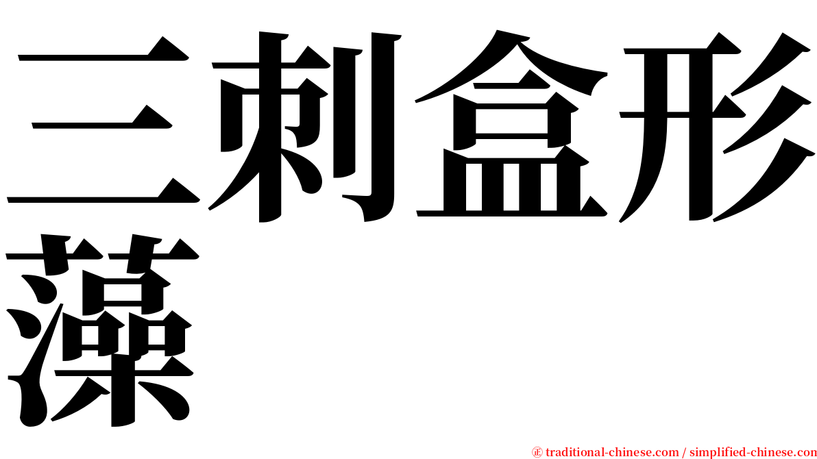 三刺盒形藻 serif font