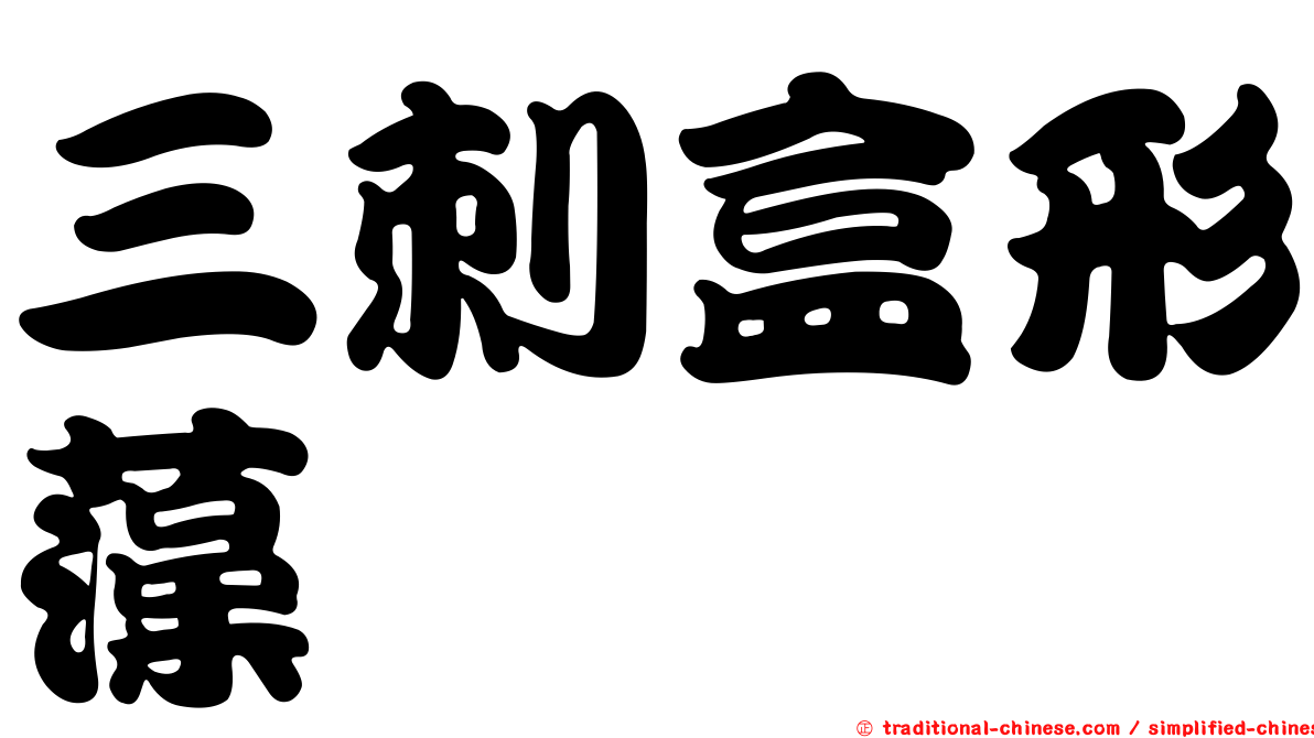 三刺盒形藻
