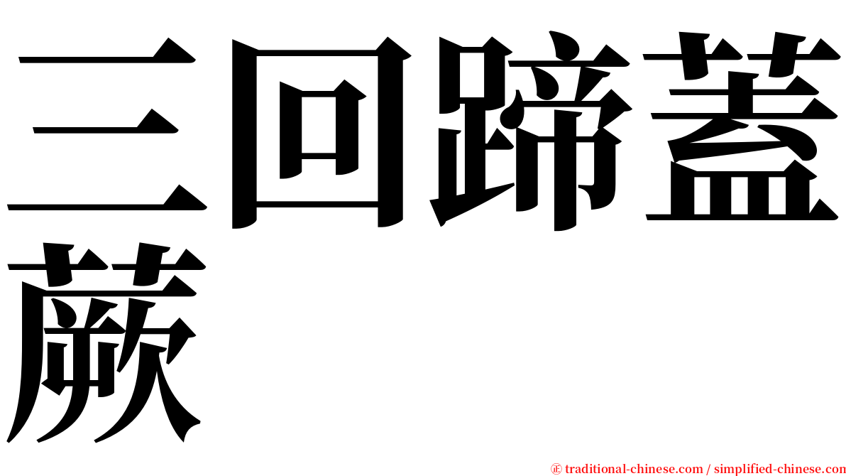 三回蹄蓋蕨 serif font