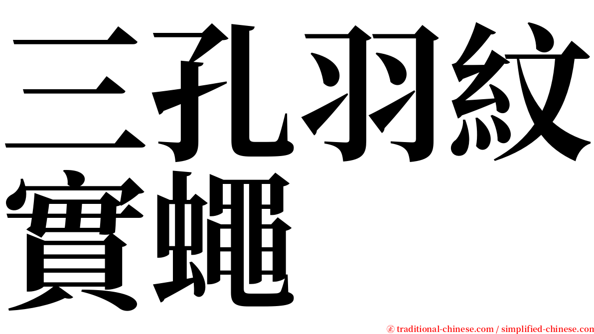 三孔羽紋實蠅 serif font