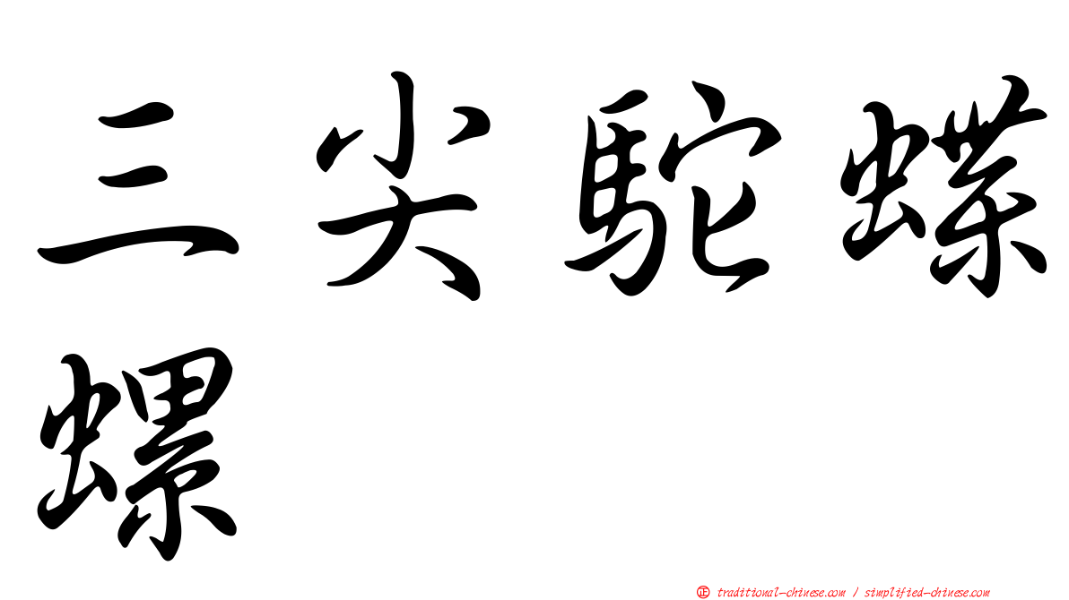 三尖駝蝶螺
