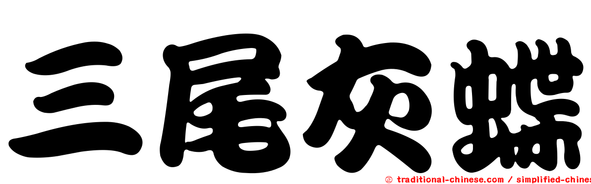 三尾灰蝶
