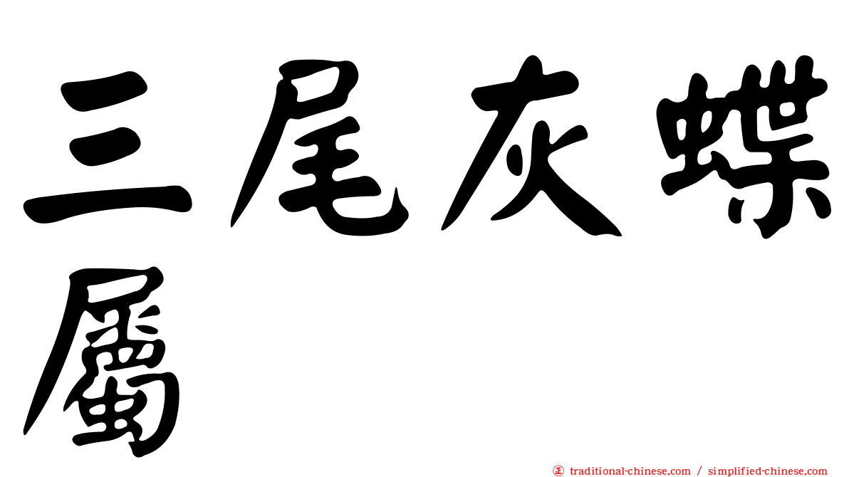 三尾灰蝶屬
