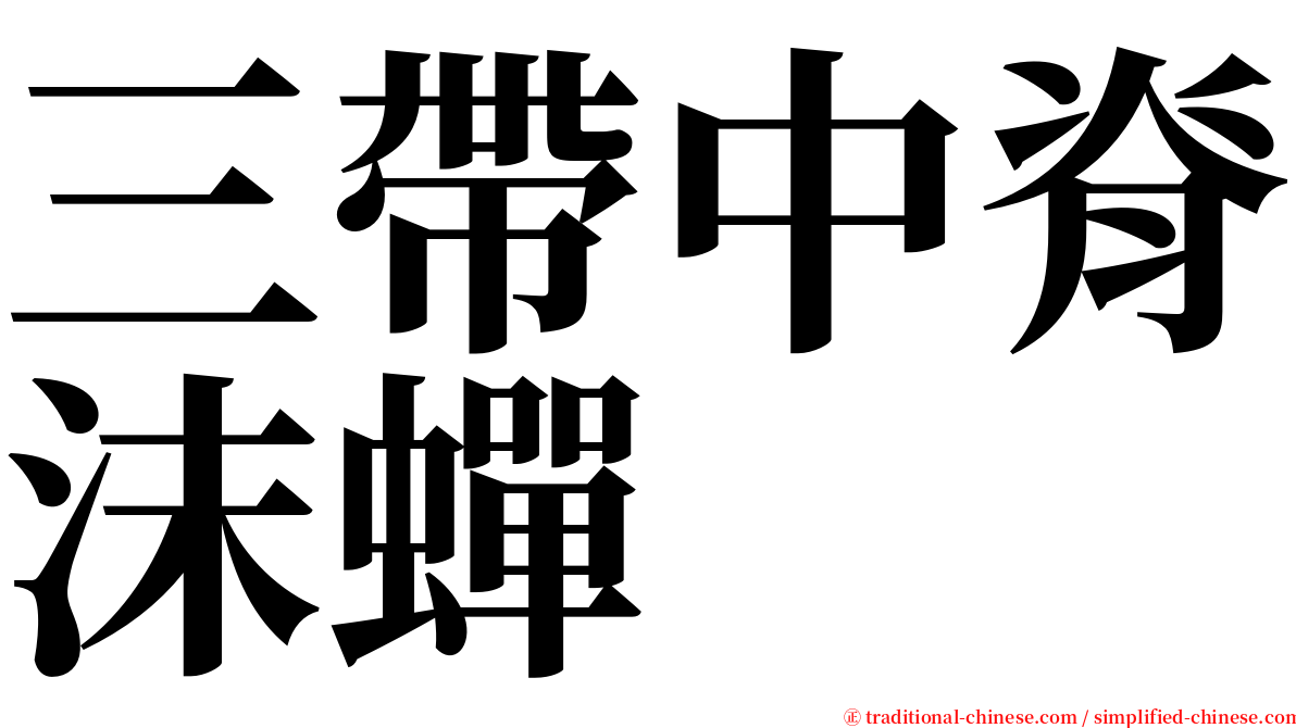 三帶中脊沫蟬 serif font