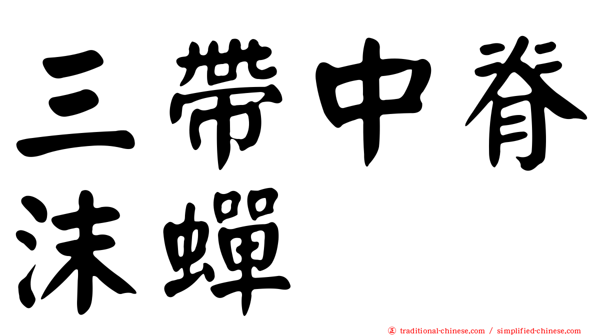 三帶中脊沫蟬