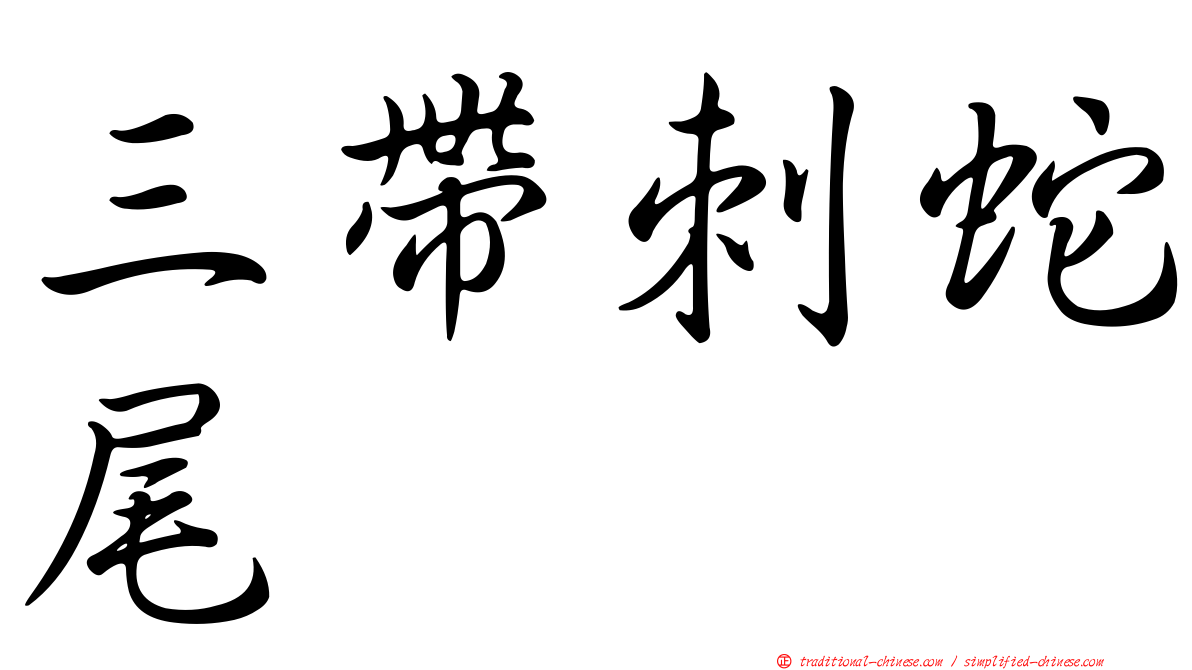 三帶刺蛇尾