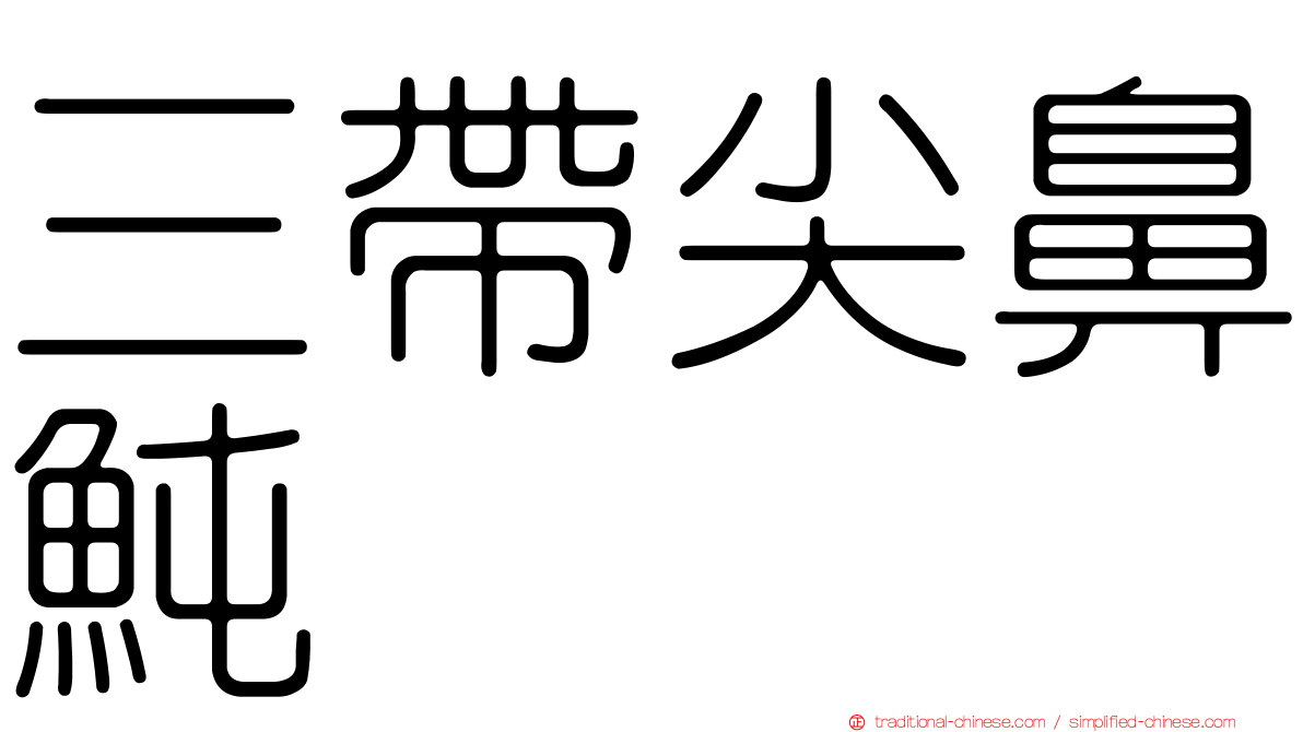 三帶尖鼻魨