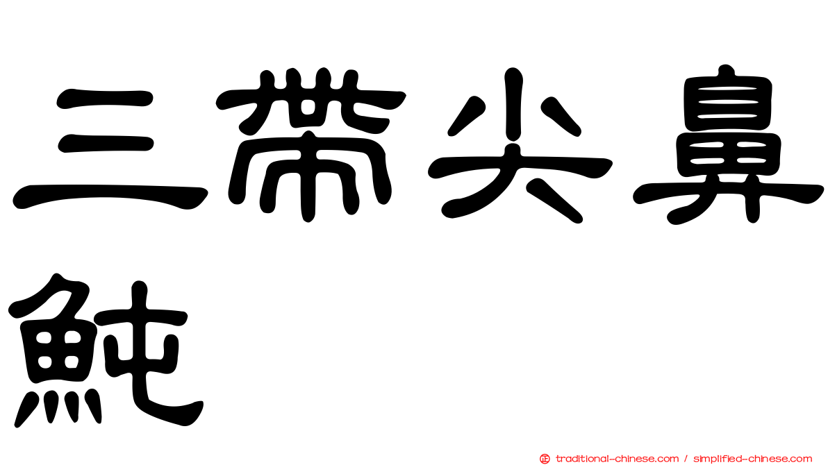 三帶尖鼻魨